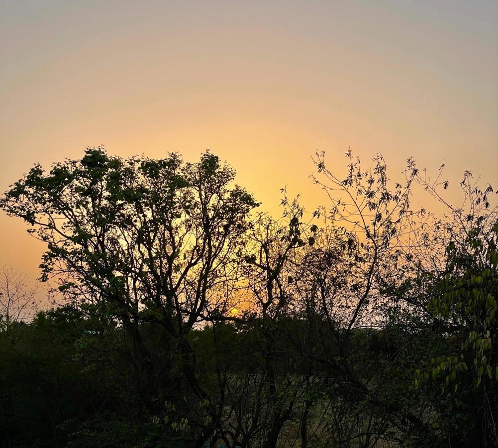 The Postcard Gir Wildlife Sanctuary Otel Sasan Gir Dış mekan fotoğraf