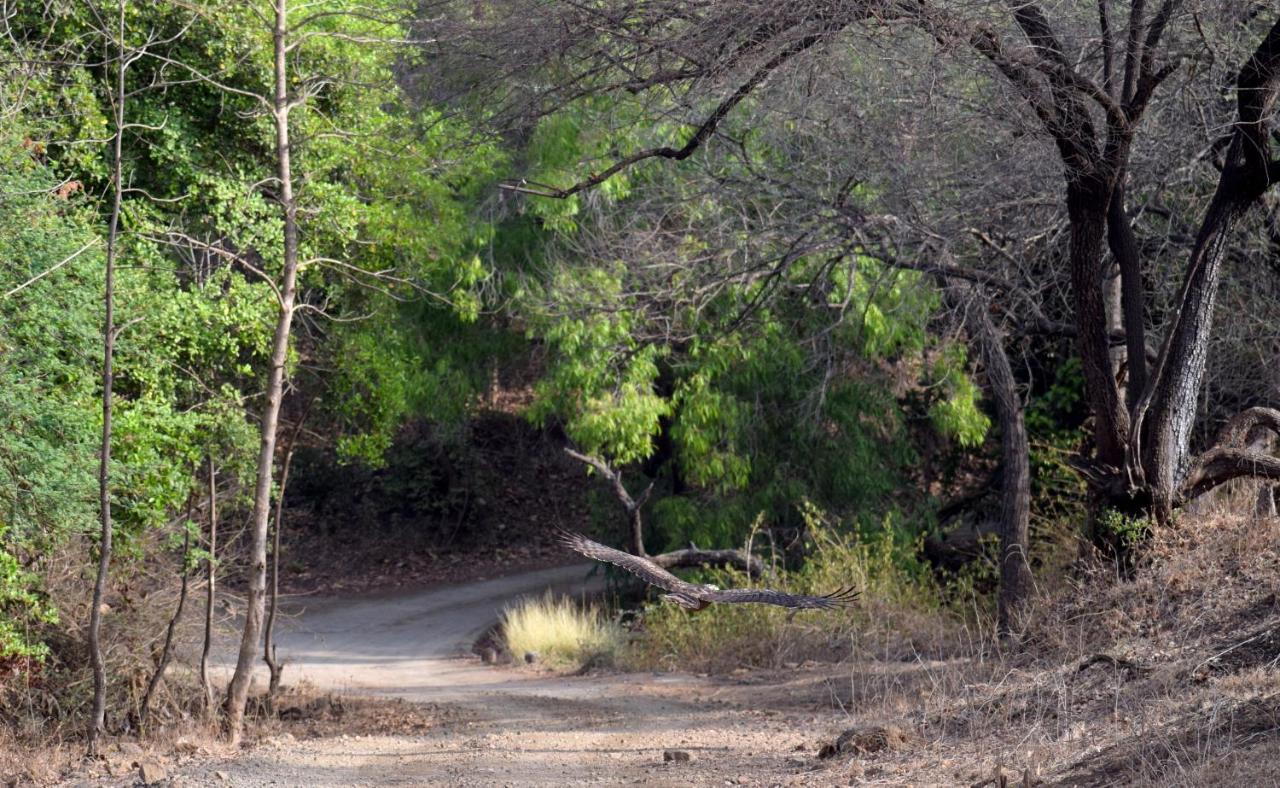 The Postcard Gir Wildlife Sanctuary Otel Sasan Gir Dış mekan fotoğraf